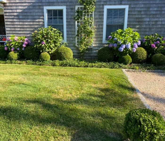 117715737_629299137727010_3685872938383581458_n