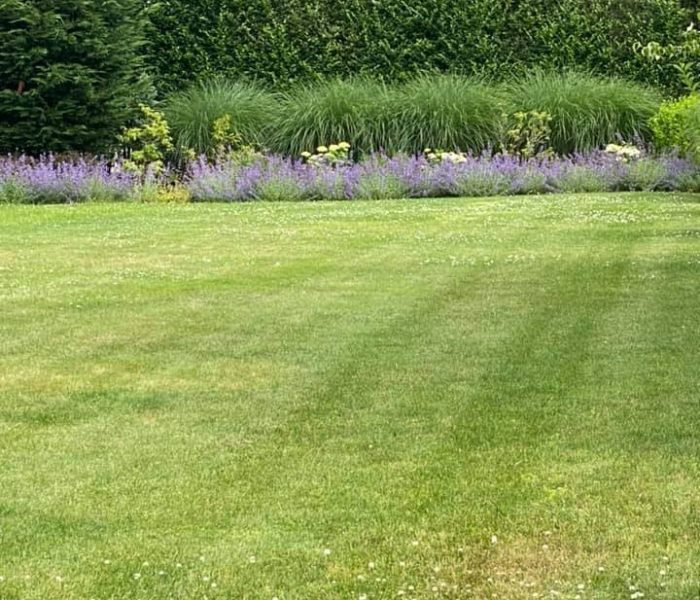 118016110_629299154393675_612411346832613821_n