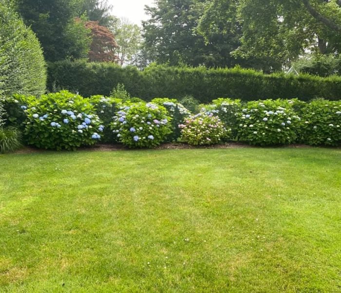 118200505_629299101060347_1328004186588852890_n